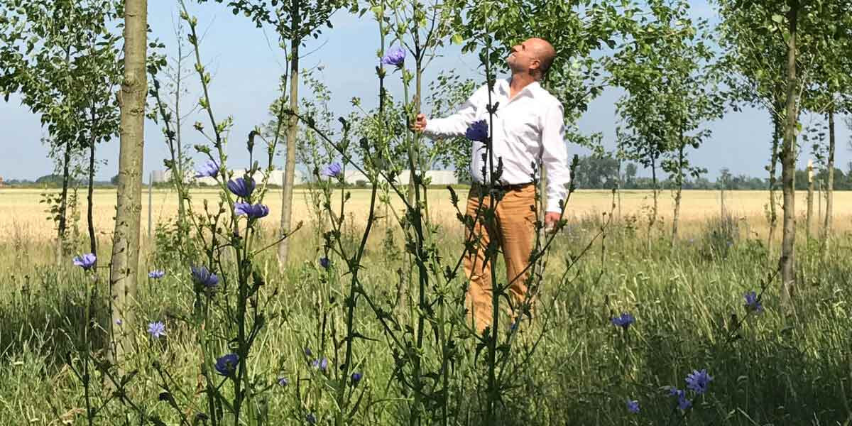 Rehhahn Bau: öko­logischer Gewinn durch Auen­gehölze.