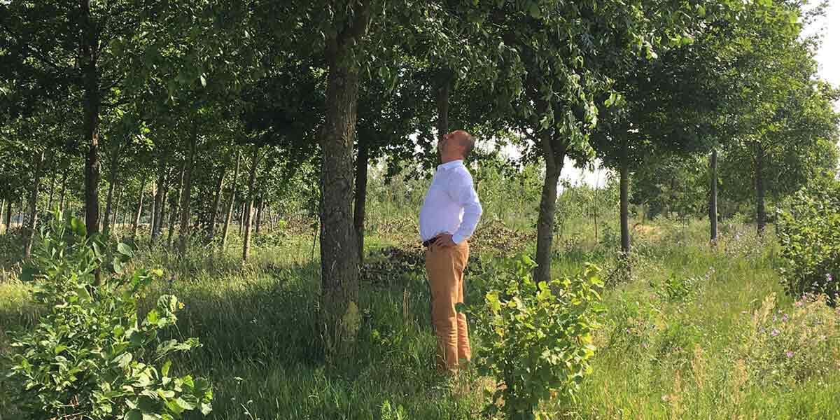 Rehhahn Bau: Auenwald Klimaholz nützt der heimischen Flora und Fauna.